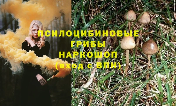 apvp Алексеевка