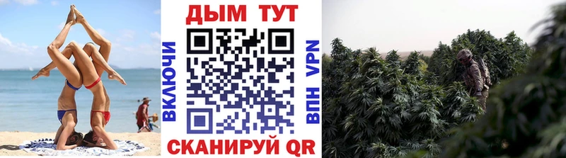 Шишки марихуана Ganja  Дрезна 